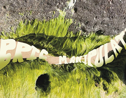 Fabric Manipulation : moss
