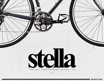 Stella - Not your average roadie!