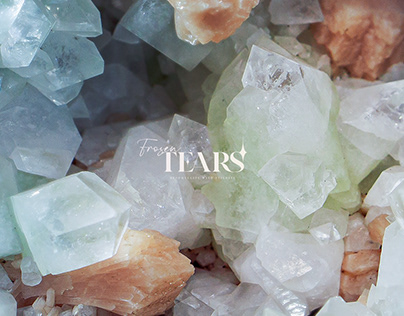 Project thumbnail - Frozen Tears