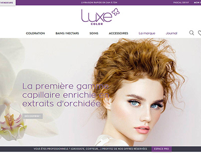 Luxe Color : Prestashop e-commerce website design 2018