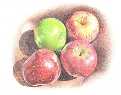 Apple Orchard Illustration