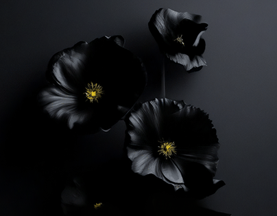 Raven Flowers