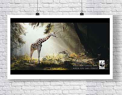 Affiches publicitaires Saga ▲ THE REAL NATURE ▲