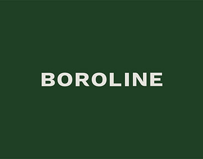 Boroline Projects | Photos, videos, logos, illustrations and branding on  Behance