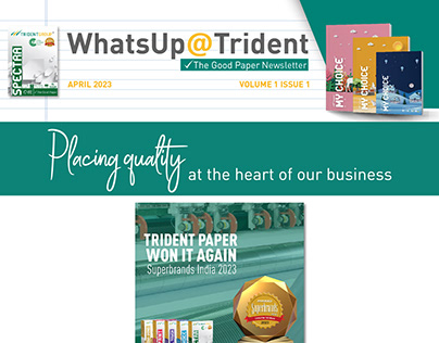 Project thumbnail - Trident Paper Newsletter
