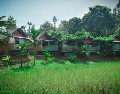 Unwind in Nature's Embrace: Top Family Resorts in Coorg