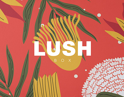 LUSH / Box design
