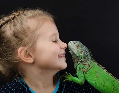 Pet Iguana: Pet with an Intimidating Look