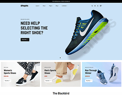 Shopify Responsive Website design For Portfolio 1