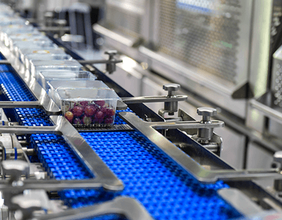 Automated Conveyor Systems: Smooth Operations in Action