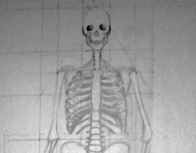 Sketches: Skeletal