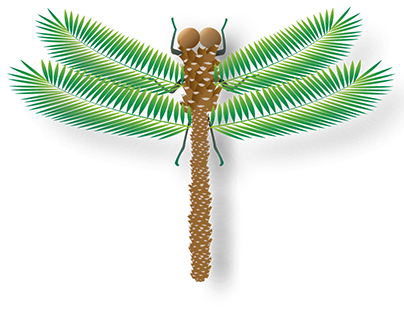 Palm tree Dragon-fly. Illustration | Clàudia Martín