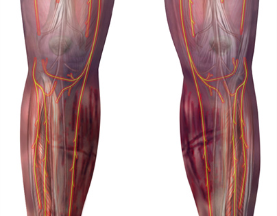 Complex Regional Pain Syndrome of the Legs