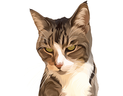 Custom pet portrait