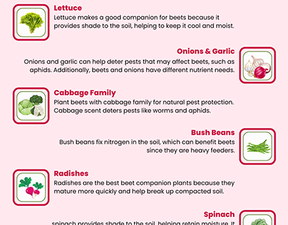 Companion Plants with Beets