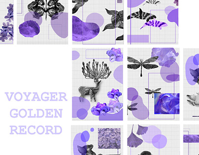 "Voyager Golden Record" - projeto faculdade