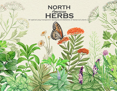 North American Herbs