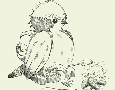 Peregrine bird character creation