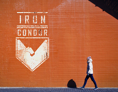 Iron Condor Logo