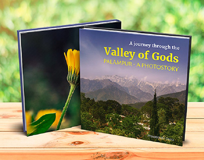 A journey through the valley of Gods - Palampur
