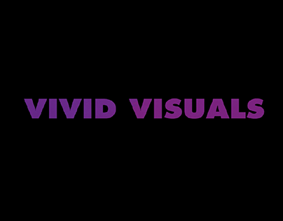 vivid visuals Promo video