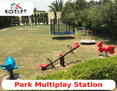 Park Multiplay Station