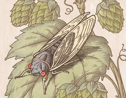A Cicada Beer –Ken Jacobsen Ilustration