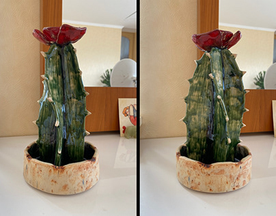 Ceramic cactus