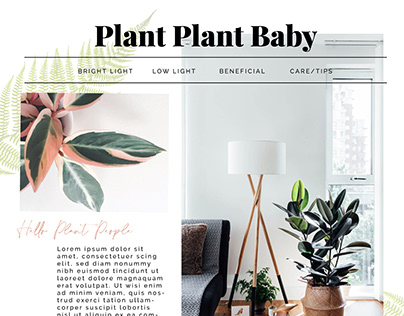 Plant Blog