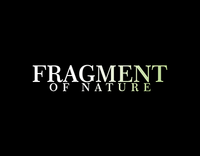 FRAGMENT OF NATURE - Concept Art
