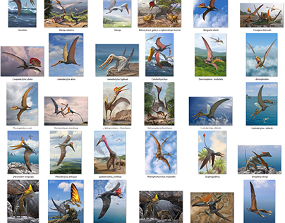 Pterosaurs illustrations