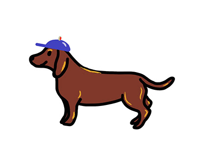 Dachshund / Wiener - Dog
