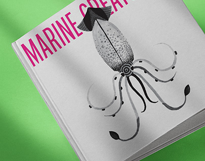 Marine Creatures - Illustration Book