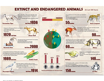 Project thumbnail - Infographics: Extinct &Endangered animal last 100 years