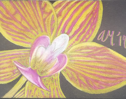 Orchid Closeup