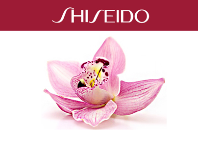 Shiseido Leke Facebook App.