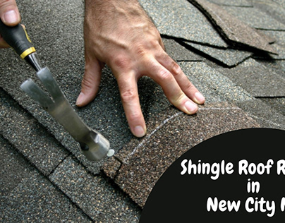 Shingle Roof Repair Service