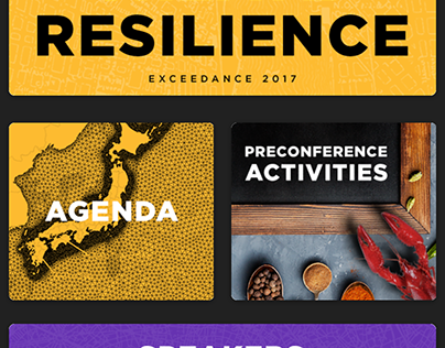 Exceedance 2017: Create Resilience