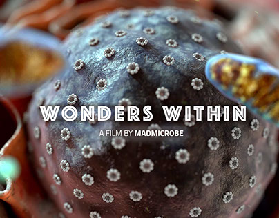 MadMicrobe: Wonders Within