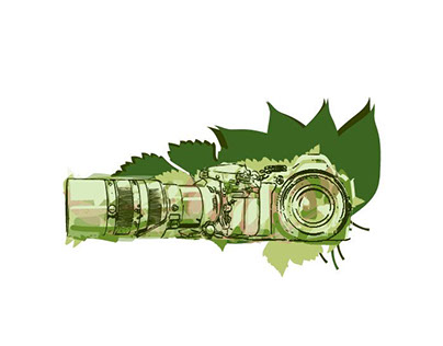 Photography Logo Concepts