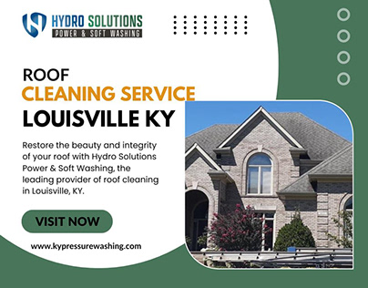 Roof Cleaning Service Louisville Ky.