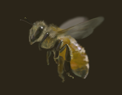 Bee Animated GIF