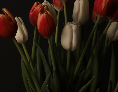 Project thumbnail - Tulips