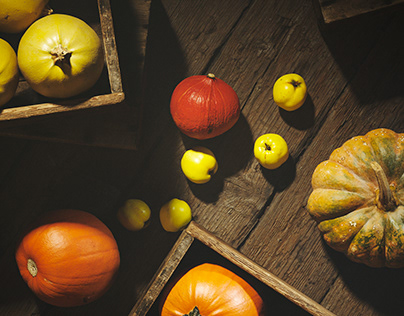 Autumn Set - Pumpkins