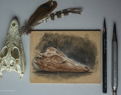 Miniature study of crocodile skull (pictured)