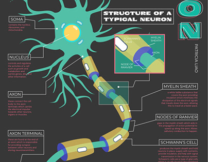 Neuron Infographic
