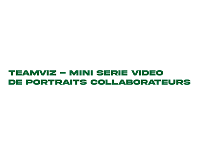 TEAMVIZ - mini série vidéo de portraits collaborateurs