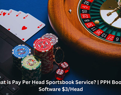 What is Pay Per Head Sportsbook Service?
