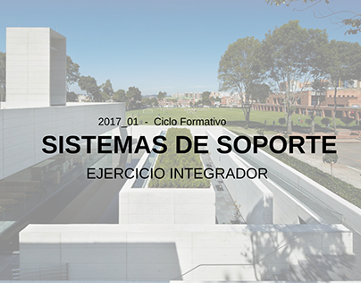CF_Sistemas De Soporte_Ejercicio Integrador_201701
