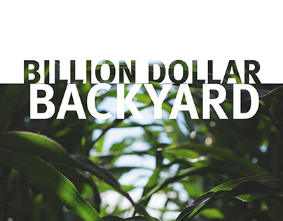 Billion Dollar Backyard, Book Cover